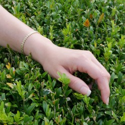 Davena - 14k Goldarmband