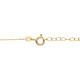 Abriola - 18k Goldhalskette Abriola - 18k Goldhalskette